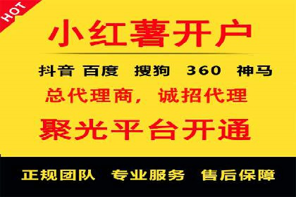 竞价广告的投放策略与效果评估——以一成功企业为例